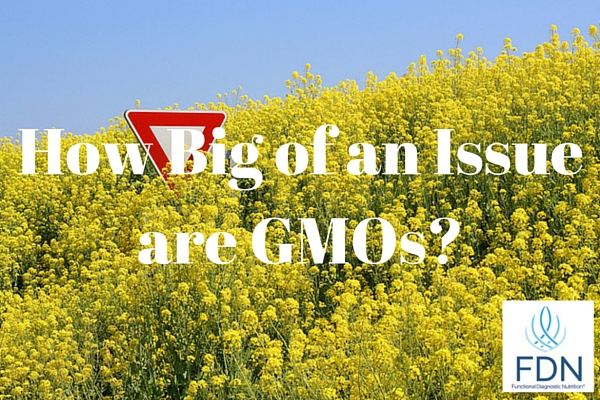 How Big of an Issue are GMOs