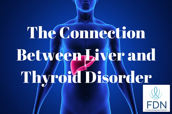 The Connection Between Liver and Thyroid Disorder