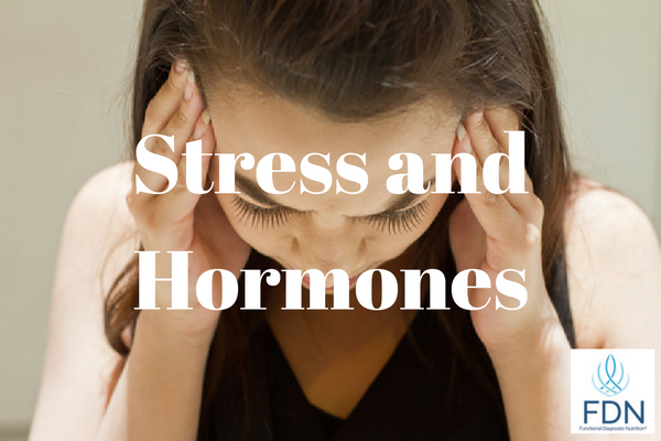 Stress and Hormones