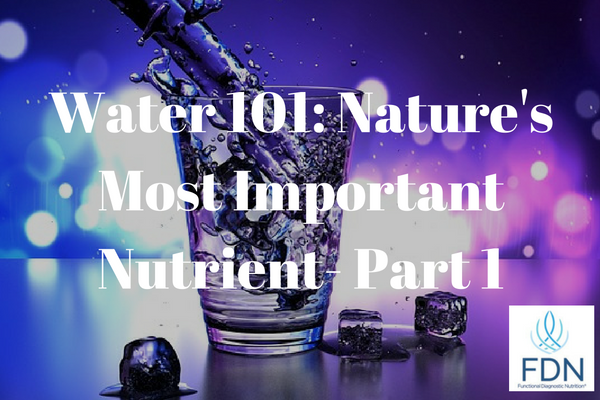 Water 101 Natures Most Important Nutrient Part 1