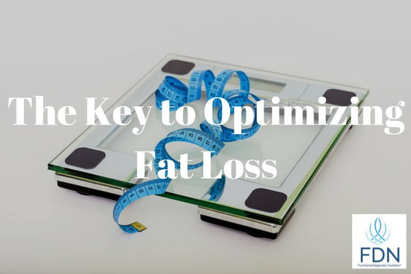 The Key to Optimizing Fat Loss