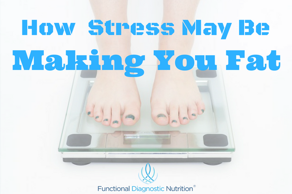 How stress may be making you fat