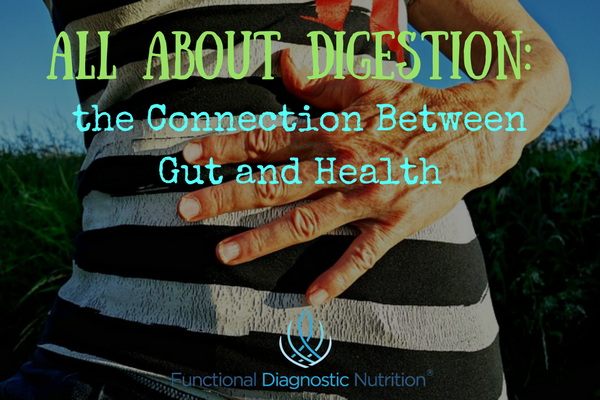All About Digestion the Connection Between Gut and Health 1