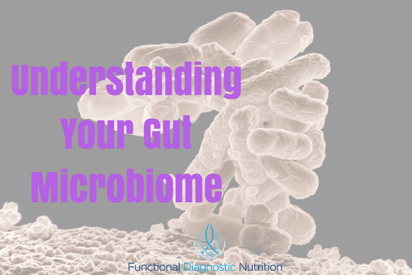 Understanding Your gut Microbiome