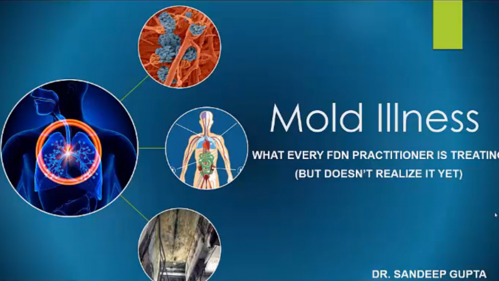 Mold Illness 1080x609