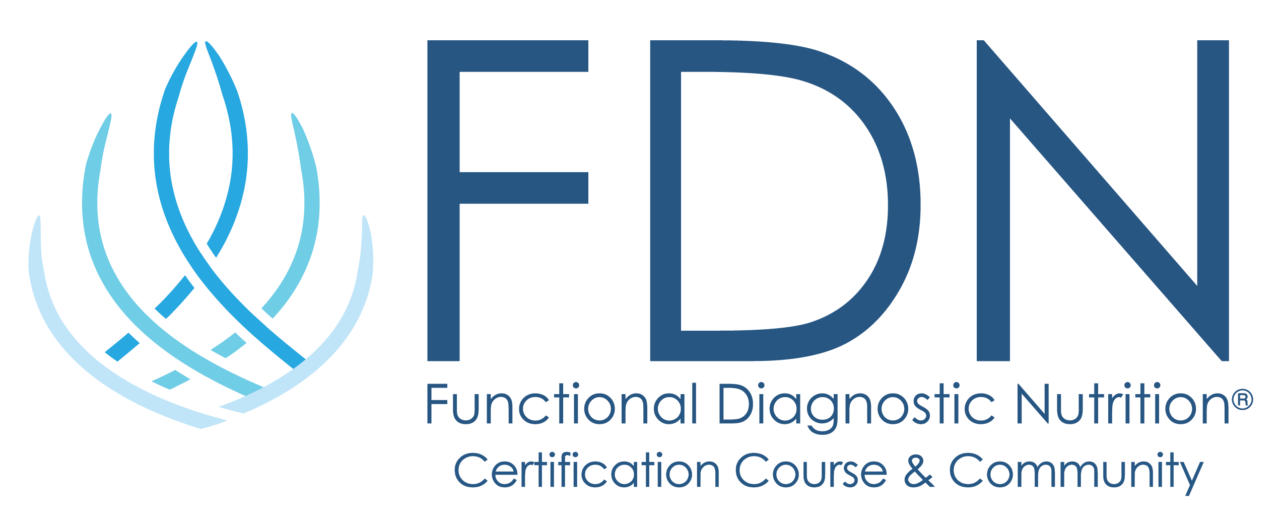 FDN Long Vertical Logo