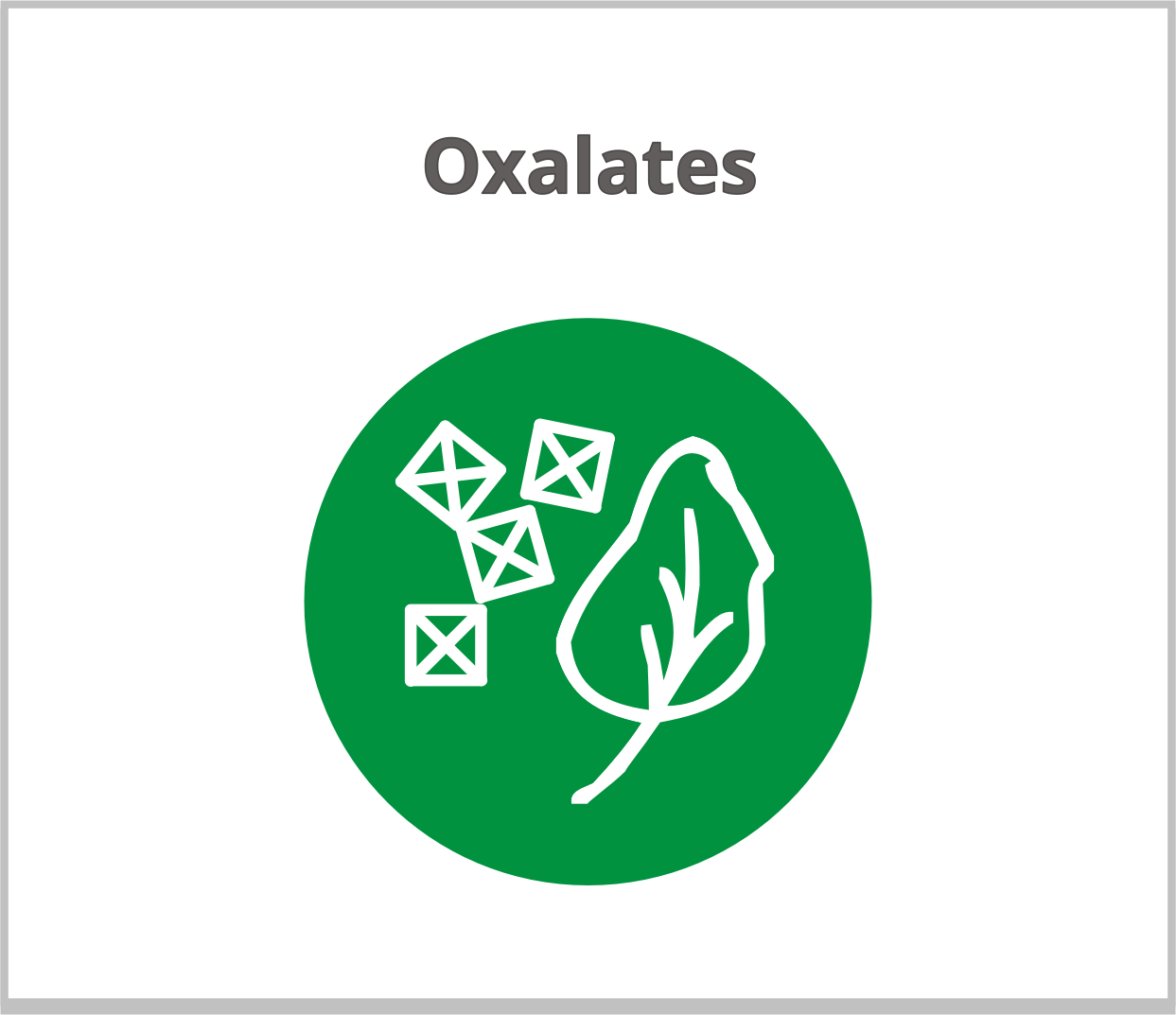 OxalatesLogo OxalatesLogo