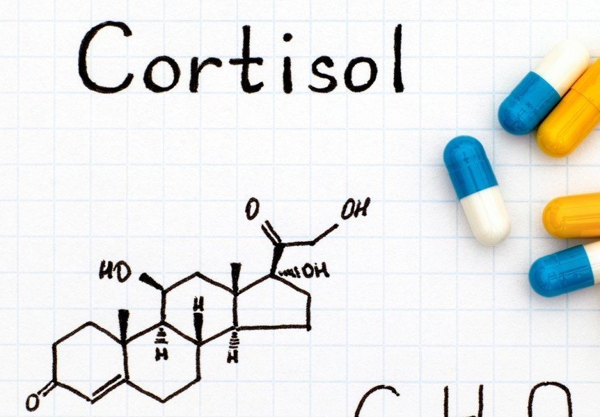 cortisol 1