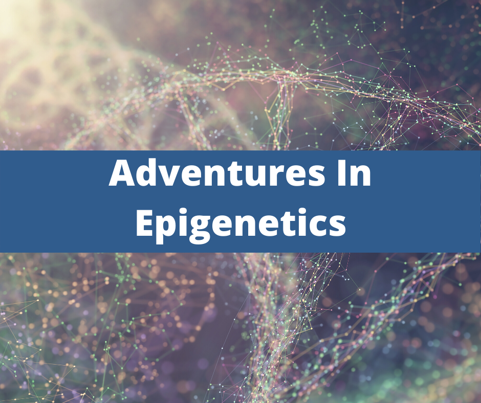 Adventures In Epigenetics Functional Diagnostic Nutrition. Health coach certification, certified health coach, health coach jobs, Jobs for health coaches, health coach jobs remote, online health coaches, virtual health coach jobs, health coach websites, health coaching websites, websites for health coaches, functional nutrition certification