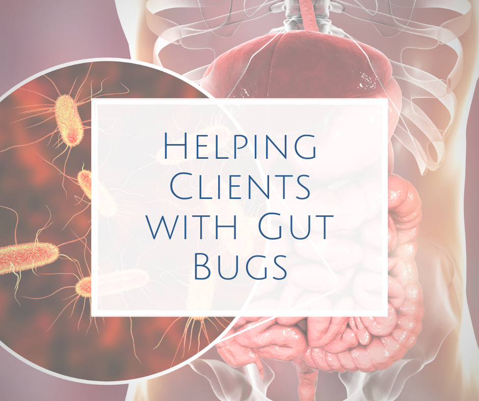 Helping Clients with Gut Bugs-health coach certification certified health coach health coach jobs Jobs for health coaches health coach jobs remote online health coaches virtual health coach jobs health coach websites health coaching websites websites for health coaches functional nutrition certification