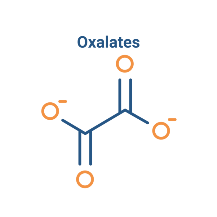 FDN Advanced - Oxalates Advanced Training Module