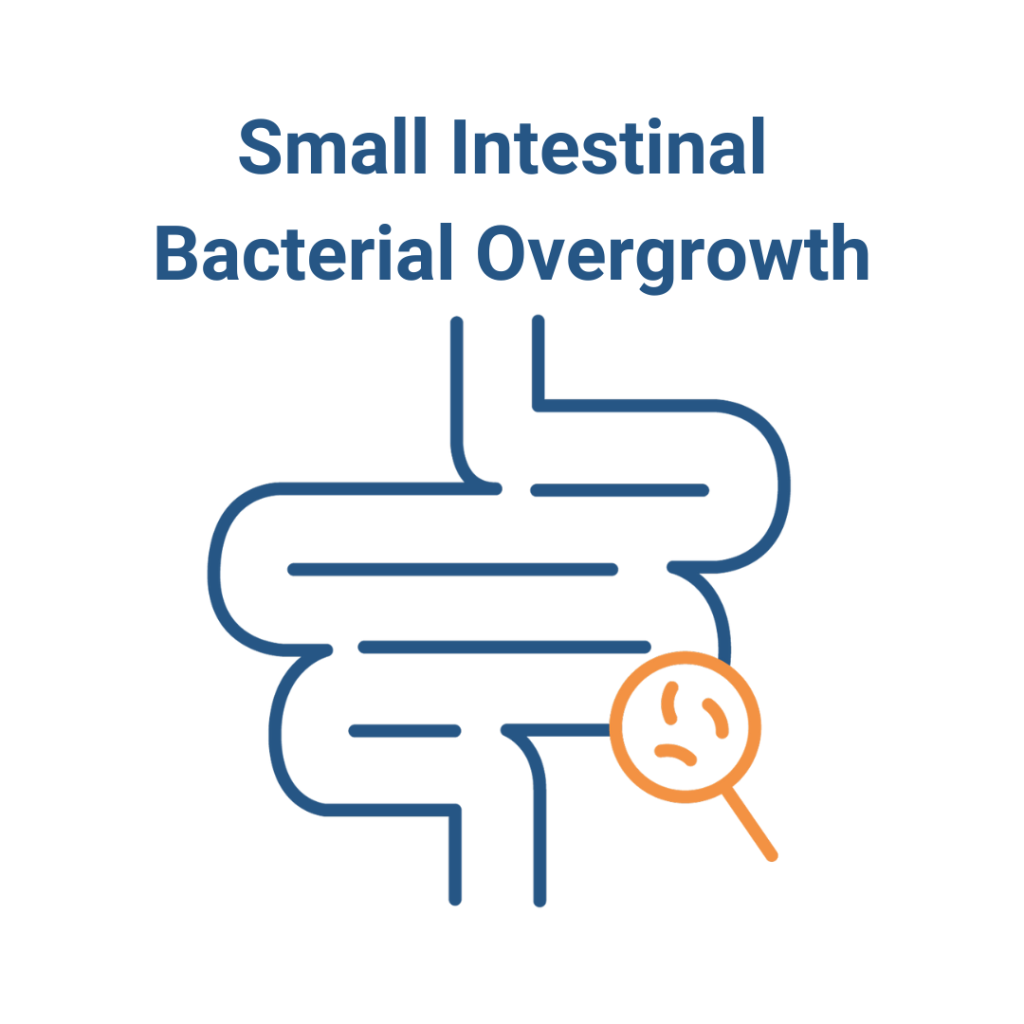 Training SIBO Functional Diagnostic Nutrition