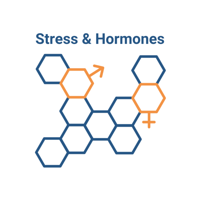 FDN Advanced - Stress and Hormones