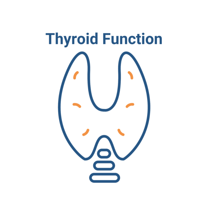 FDN Advanced - Thyroid Advanced Training Module