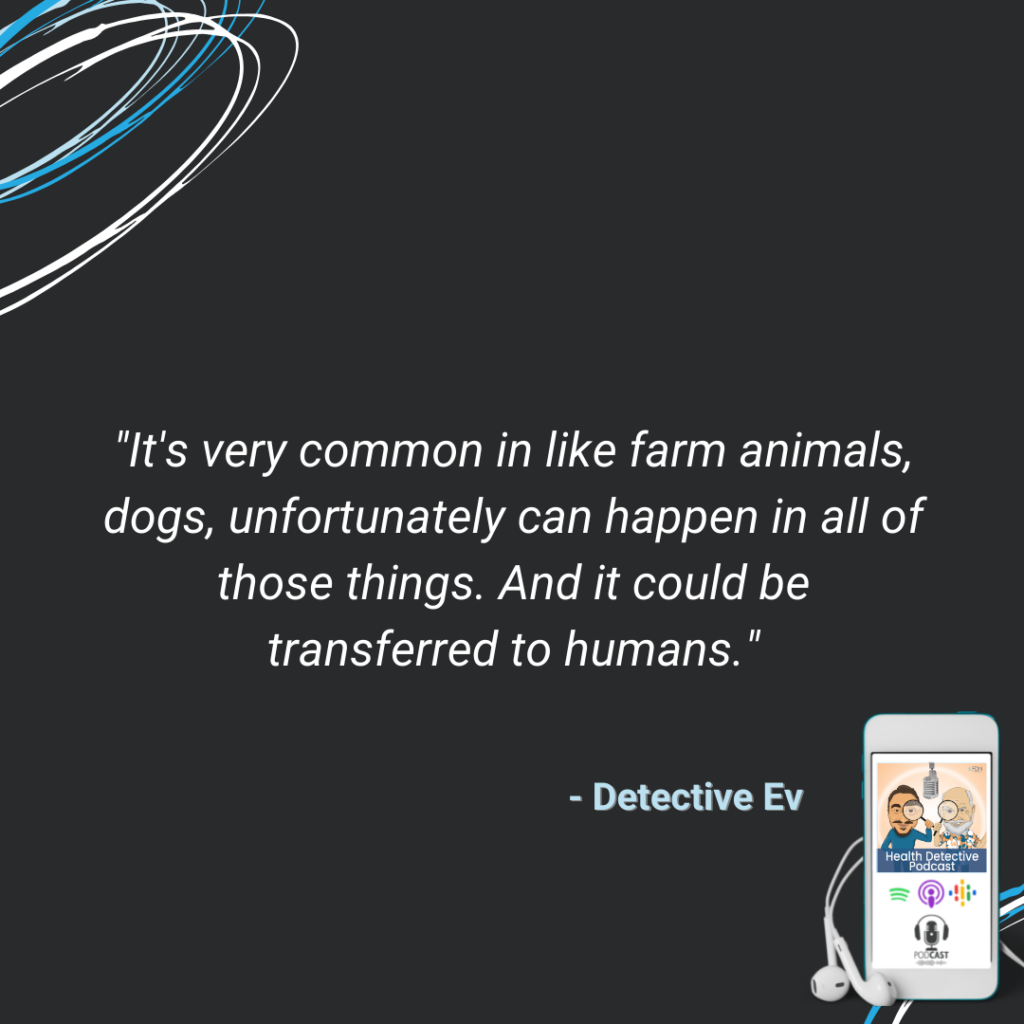 GI MAP, GUT TESTING, BLASTO, COMMON BACTERIA IN ANIMALS, CAN BE TRANSFERRED TO HUMANS, FDN, FDNTRAINING, HEALTH DETECTIVE PODCAST