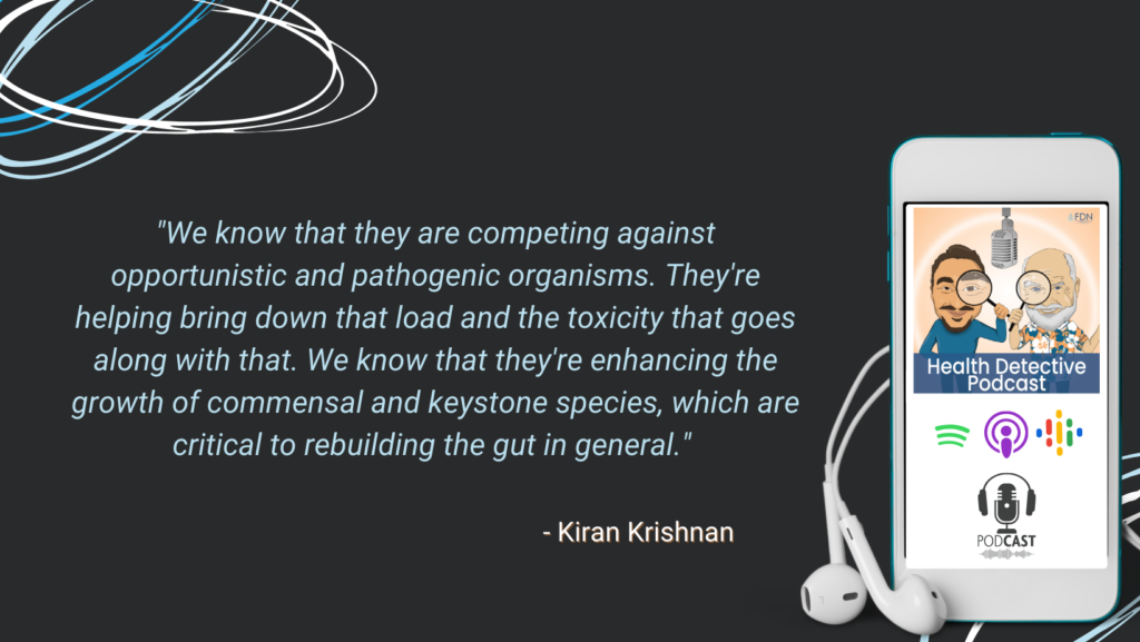 SPORE-BASED PROBIOTICS HELP REBUILD THE GUT IN GENERAL, LIGHTEN TOXIC LOAD, COMBAT PATHOGENS AND OPPORTUNISTIC BACTERIA, FDN, FDNTRAINING, HEALTH DETECTIVE PODCAST