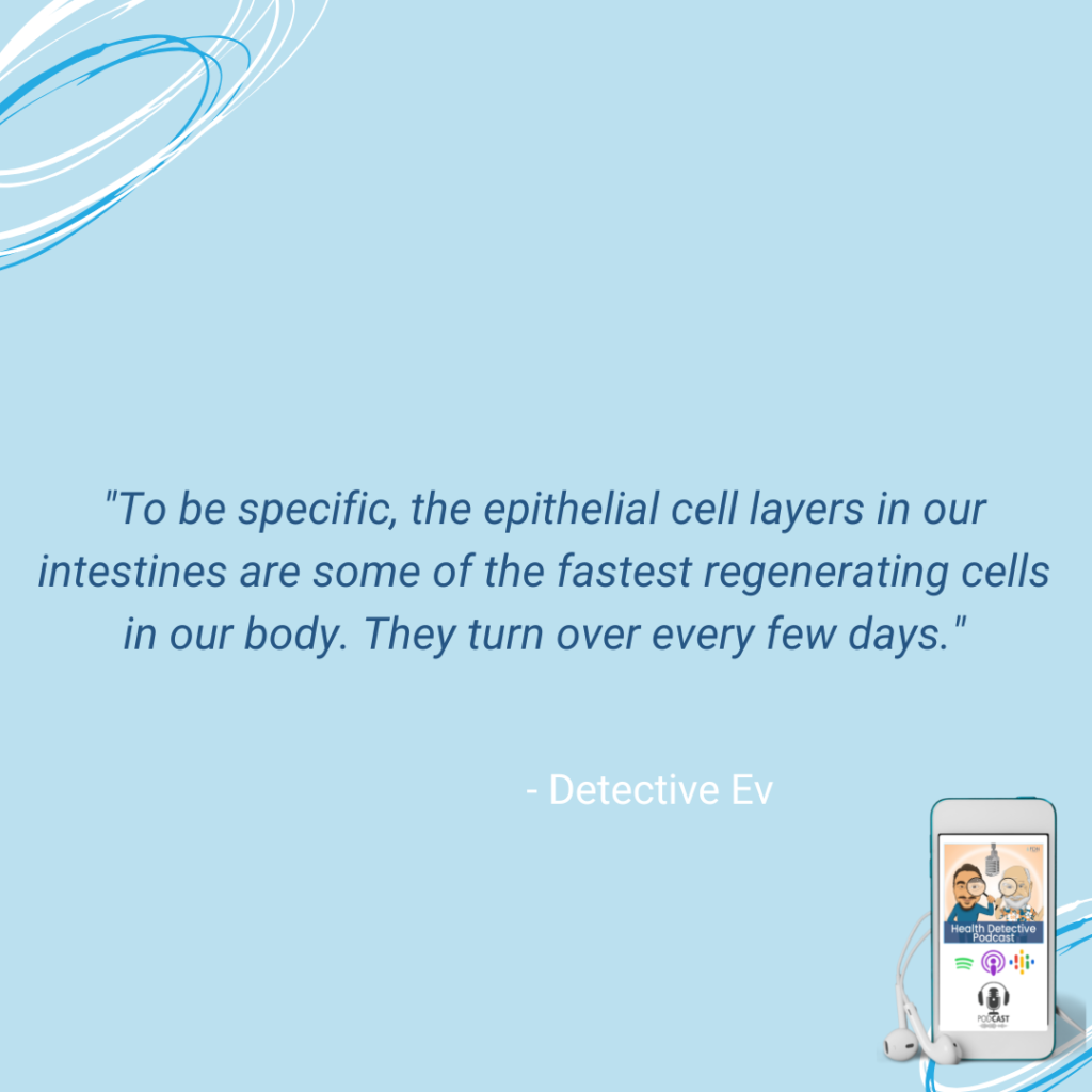 LEAKY GUT, EPITHELIAL CELLS ARE SOME OF THE FASTEST REGENERATING CELLS IN THE BODY, FDN, FDNTRAINING, HEALTH DETECTIVE PODCAST