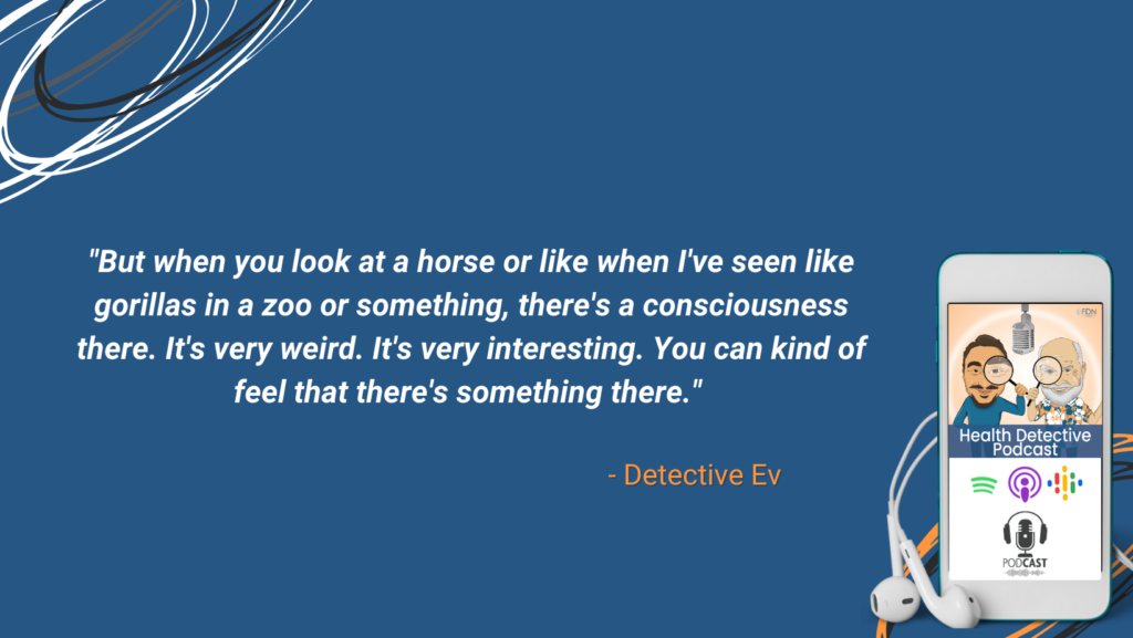 SUBCONSCIOUS CONNECTION WITH HORSES, FDN, FDNTRAINING, HEALTH DETECTIVE PODCAST, EQUINE THERAPY