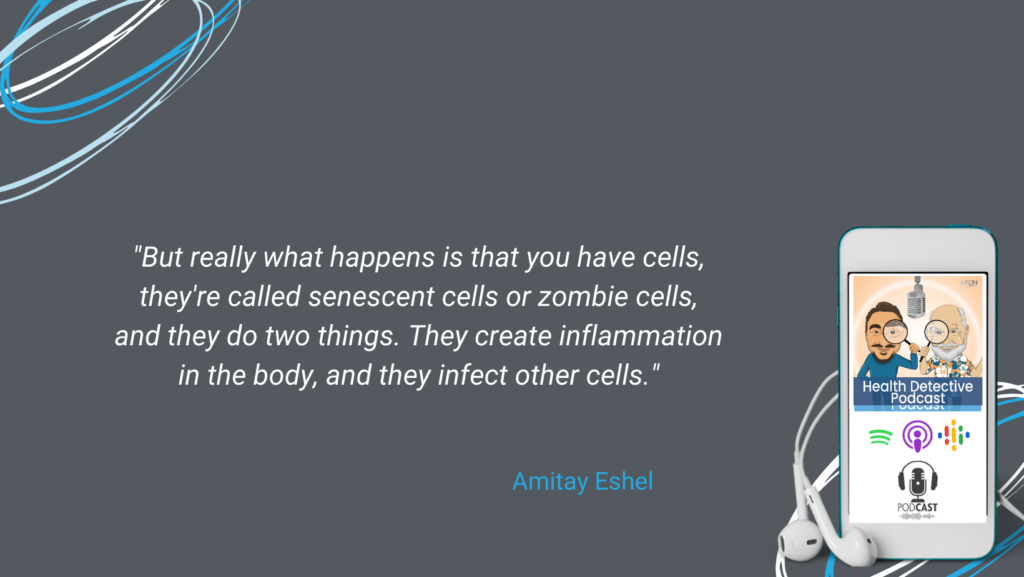 SENESCENT CELLS, ZOMBIE CELLS, CREATE INFLAMMATION, INFECT OTHER CELLS, FDN, FDNTRAINING, HEALTH DETECTIVE PODCAST