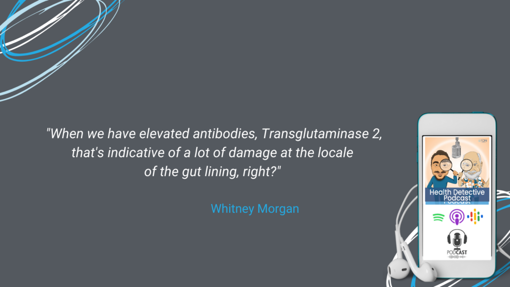 THE WHEAT ZOOMER, ANTIBODIES, TRANSGLUTAMINASE 2, DAMAGE AT THE GUT LINING, FDN, FDNTRAINING, HEALTH DETECTIVE PODCAST