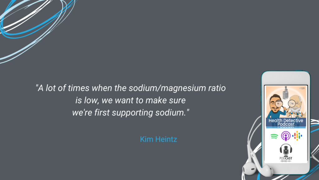 HTMA TESTS, SODIUM/MAGNESIUM RATIO, SUPPORT SODIUM FIRST, FDN, FDNTRAINING, HEALTH DETECTIVE PODCAST