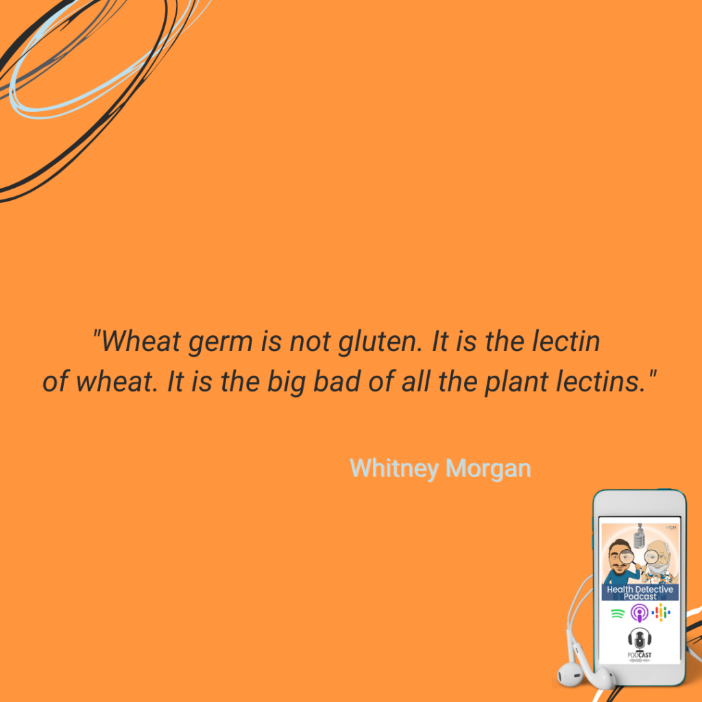 WHEAT GERM IS NOT GLUTEN, WHEAT GERM IS THE LECTIN OF WHEAT, BIG BAD OF ALL PLANT LECTINS, FDN, FDNTRAINING, HEALTH DETECTIVE PODCAST