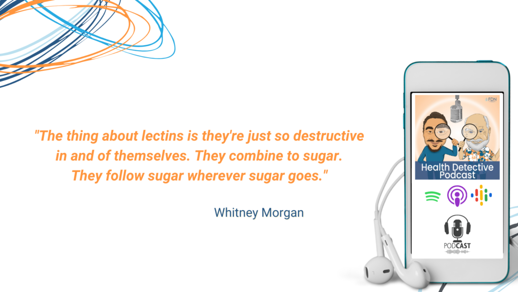 THE WHEAT ZOOMER, LECTINS ARE DESTRUCTIVE, COMBINE TO SUGAR, GO WHERE SUGAR GOES, FDN, FDNTRAINING, HEALTH DETECTIVE PODCAST