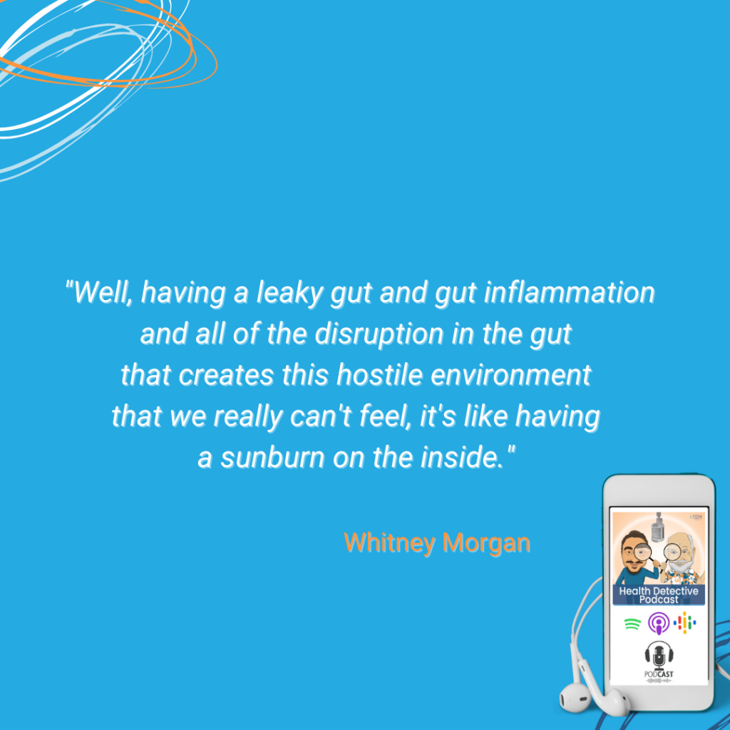 LEAKY GUT, GUT INFLAMMATION, HOSTILE ENVIRONMENT, LIKE A SUNBURN ON THE INSIDE, THE WHEAT ZOOMER, FDN, FDNTRAINING, HEALTH DETECTIVE PODCAST