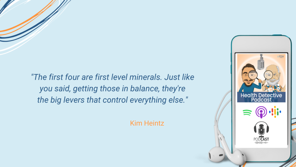 HTMA TESTS, THE FIRST FOUR, FIRST LEVEL MINERALS, GET THESE IN BALANCE, CONTROL EVERYTHING ELSE, FDN, FDNTRAINING, HEALTH DETECTIVE PODCAST