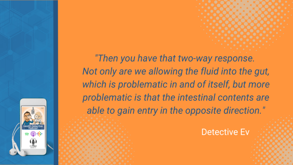 TWO-WAY RESPONSE, ZONULIN, FLUID, PROBLEMATIC, INTESTINAL CONTENTS, FDN, FDNTRAINING, HEALTH DETECTIVE PODCAST