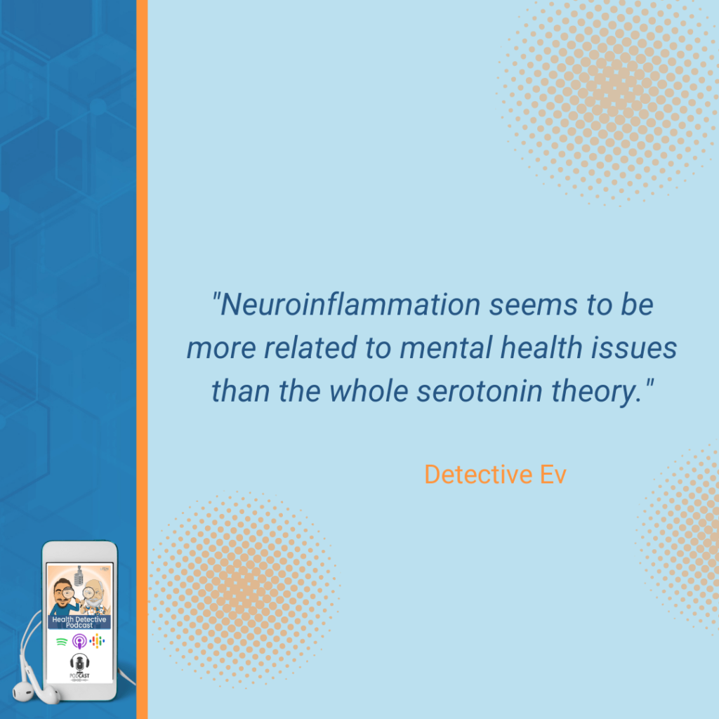LEAKY GUT AND MENTAL HEALTH, NEUROINFLAMMATION, MENTAL HEALTH ISSUES, SEROTONIN, FDN, FDNTRAINING, HEALTH DETECTIVE PODCAST