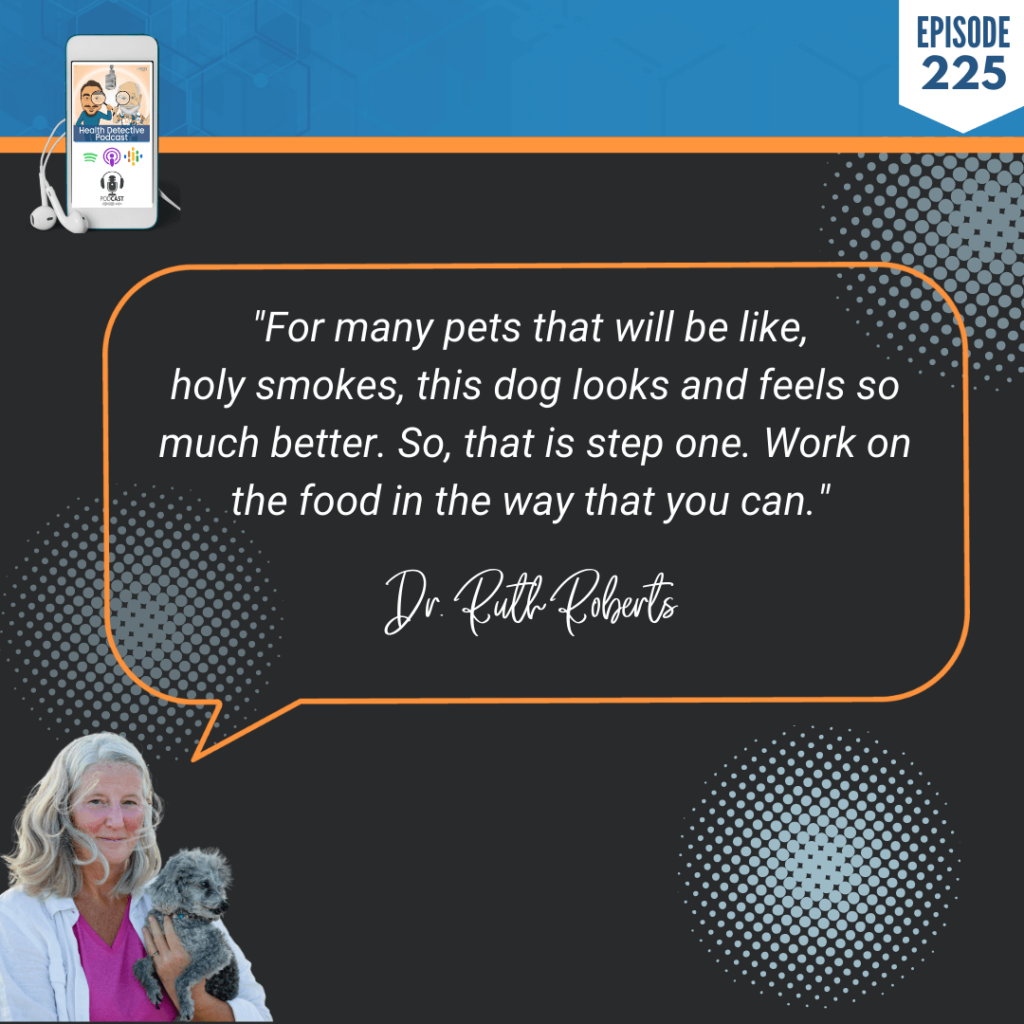 FUNCTIONAL MEDICINE FOR PETS, DIET, CROCKPET DIET, COOKED FOOD, DOG LOOKS AND FEELS BETTER, FDN, FDNTRAINING, HEALTH DETECTIVE PODCAST, ANIMALS