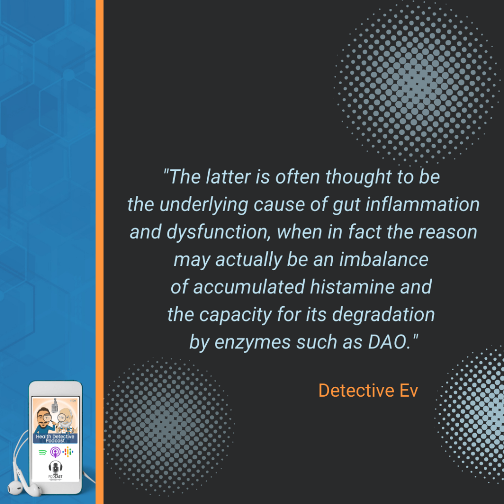 LEAKY GUT AND MENTAL HEALTH, GUT INFLAMMATION, DYSFUNCTION, INBALANCE OF ACCUMULATED HISTAMINE, DEGRADATION, ENZYMES, DAO, FDN, FDNTRAINING, HEALTH DETECTIVE PODCAST