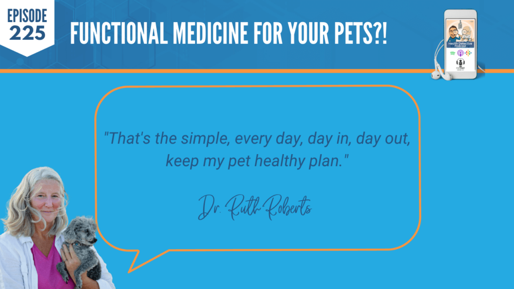 FUNCTIONAL MEDICINE FOR PETS, DAY IN, DAY OUT, EVERYDAY KEEP MY PET HEALTHY PLAN, FDN, FDNTRAINING, HEALTH DETECTIVE PODCAST, ANIMALS