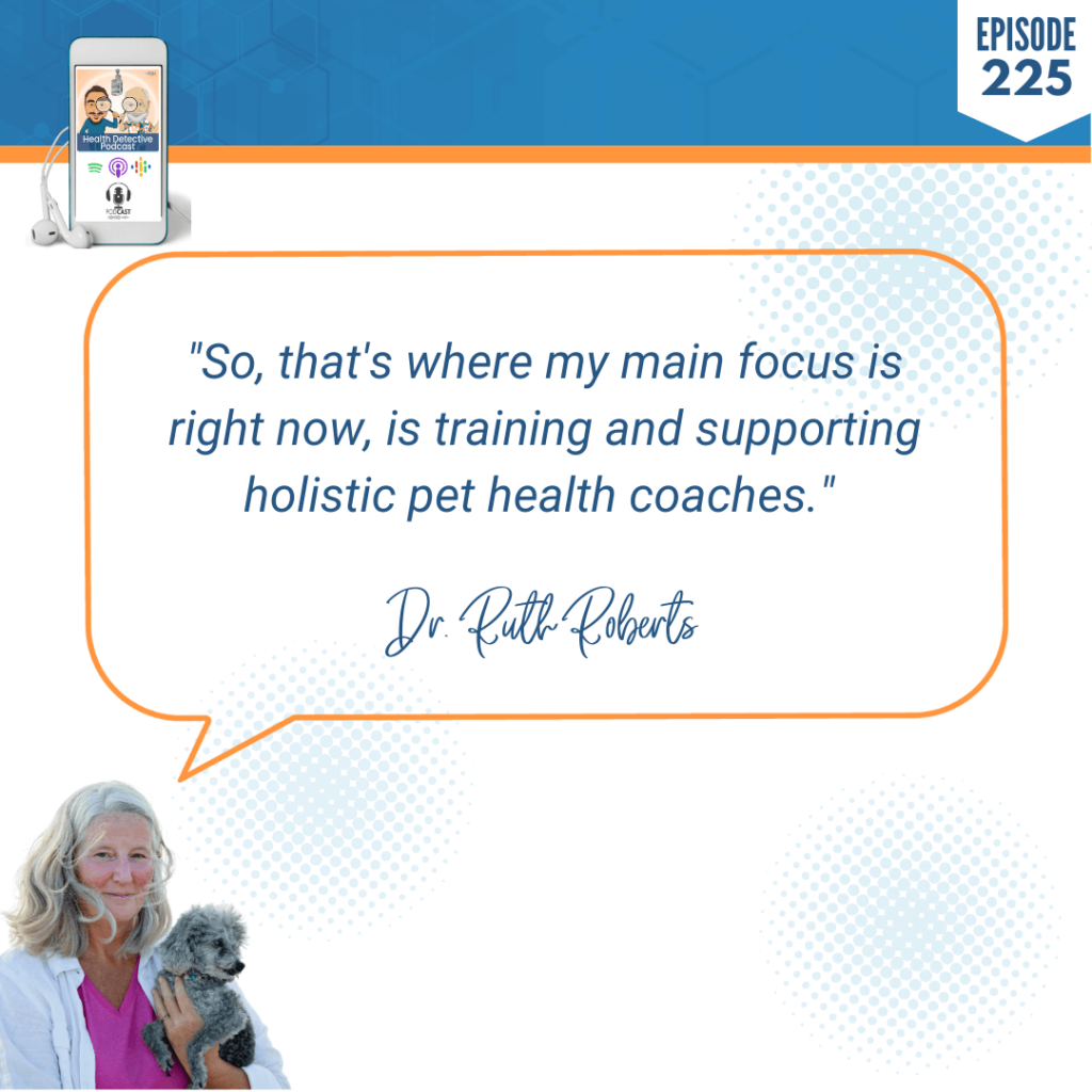 FUNCTIONAL MEDICINE FOR PETS, ANIMALS, TRAINING AND SUPPORTING, HOLISTIC PET HEALTH COACHES, FDN, FDNTRAINING, HEALTH DETECTIVE PODCAST