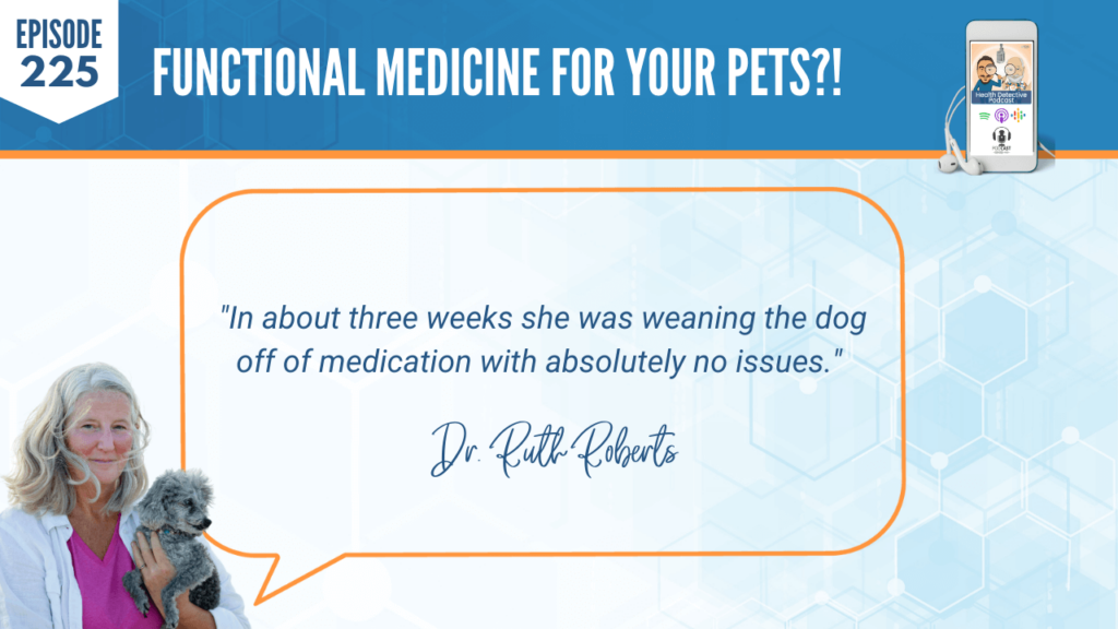 CLIENT TESTIMONIALS, CLIENT SUCCESS STORY, FUNCTIONAL MEDICINE FOR PETS, WEANED OFF MEDICINE, NO ISSUES, FDN, FDNTRAINING, HEALTH DETECTIVE PODCAST, ANIMALS