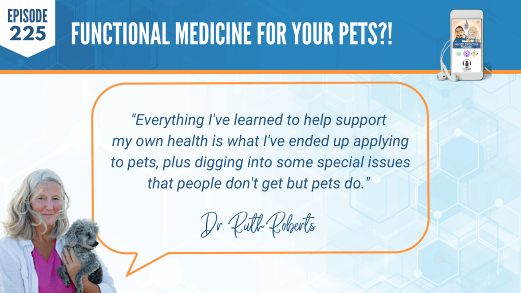 FUNCTIONAL MEDICINE FOR YOUR PETS, LEARNED SUPPORT APPLIED TO PETS, SPECIAL ISSUES PETS GET, FDN, FDNTRAINING, HEALTH DETECTIVE PODCAST