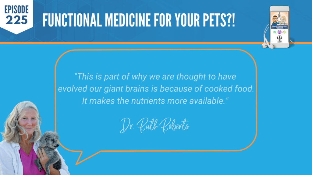 FUNCTIONAL MEDICINE FOR YOUR PETS, EVOLVE BRAINS, COOKING FOOD, NUTRIENTS ARE MORE AVAILABLE, FDN, FDNTRAINING, HEALTH DETECTIVE PODCAST, CROCKPET DIET