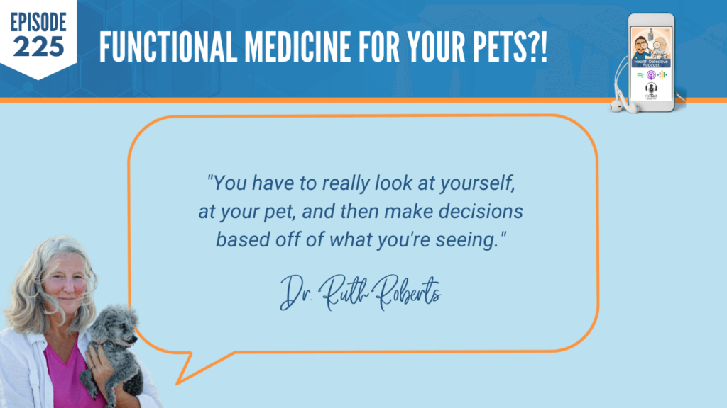 FUNCTIONAL MEDICINE FOR YOUR PETS, VACCINATIONS, LOOK AT YOUR PET, WHAT ARE YOU SEEING, MAKE BALANCED DECISIONS, FDN, FDNTRAINING, HEALTH DETECTIVE PODCAST