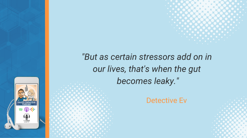 LEAKY GUT AND MENTAL HEALTH, ADD ON STRESSORS, GUT BECOMES LEAKY, STRESS, FDN, FDNTRAINING, HEALTH DETECTIVE PODCAST