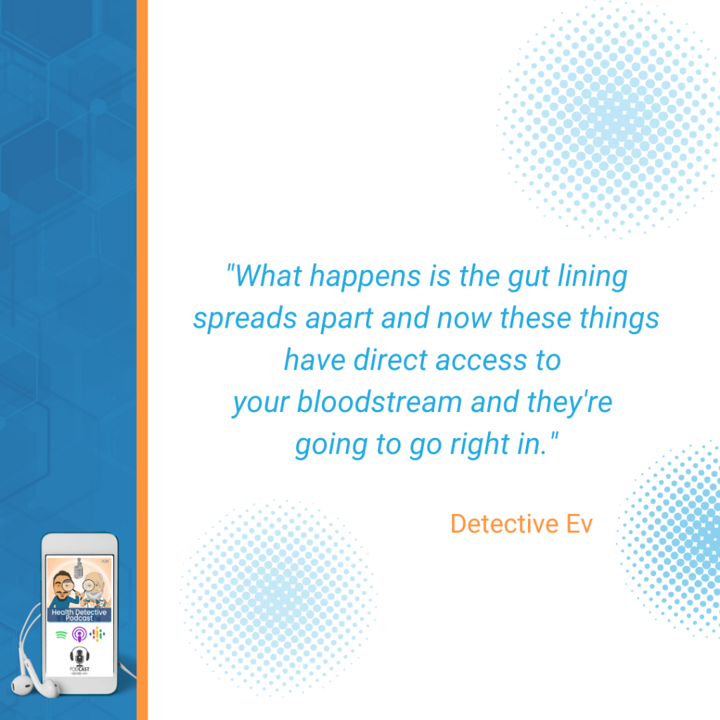 LEAKY GUT AND MENTAL HEALTH, GUT LINING SPREADS APART, TOXINS HAVE DIRECT ACCESS TO BLOODSTREAM, FDN, FDNTRAINING, HEALTH DETECTIVE PODCAST