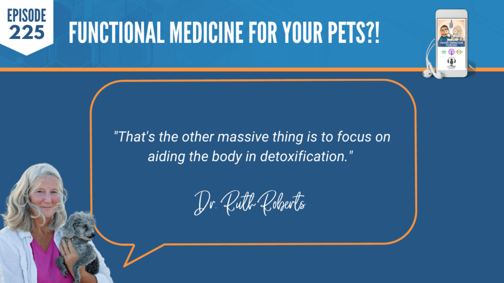 FUNCTIONAL MEDICINE FOR YOUR PETS, DETOXIFICATION, FOCUS, ANIMALS, FDN, FDNTRAINING, HEALTH DETECTIVE PODCAST