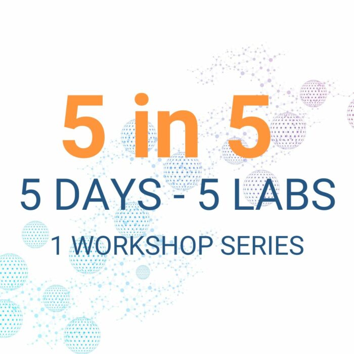 5 Labs 5 Days 1 Workshop Series