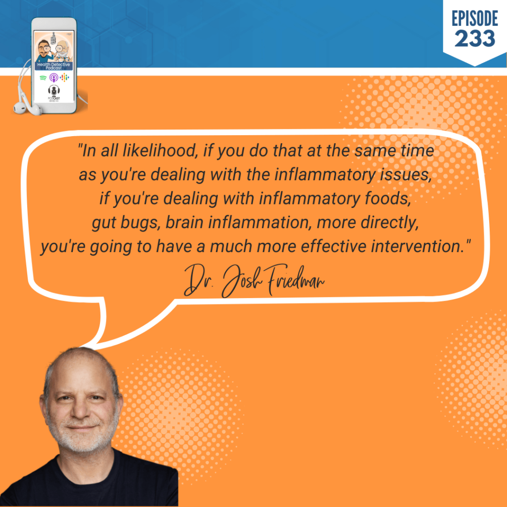 INFLAMMATION, INFLAMMATORY FOODS, GUT BUGS, BRAIN INFLAMMATION, EFFECTIVE INTERVENTION, AMINO ACID THERAPY, MENTAL HEALTH, FDN, FDNTRAINING, HEALTH DETECTIVE PODCAST