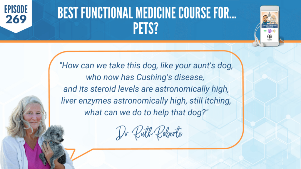FOR PETS, FUNCTIONAL MEDICINE COURSE FOR PETS, HOLISTIC PET HEALTH COACHING PROGRAM, DR. RUTH ROBERTS, PETS, HEALTH COACH, FDN, FDNTRAINING, HEALTH DETECTIVE PODCAST, DETECTIVE EV, EVAN TRANSUE, HEALTH, CERTIFICATION COURSE, TEACH, EDUCATIONAL, BUSINESS, WORK WITH PETS, GET WELL AND STAY WELL NATURALLY, LABS, HOLISTIC, FUNCTIONAL, PERSPECTIVES, HEALTH CHALLENGES, DETECTIVE, DOG, CUSHING'S, STEROID, LIVER ENZYMES, ITCHING, HELP