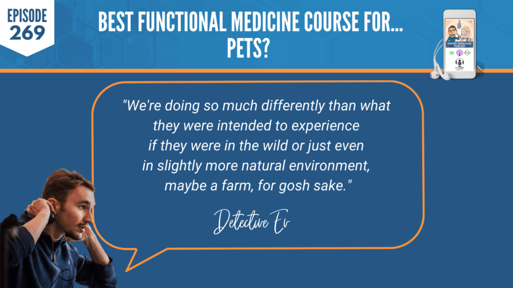 FOR PETS, FUNCTIONAL MEDICINE COURSE FOR PETS, HOLISTIC PET HEALTH COACHING PROGRAM, DR. RUTH ROBERTS, PETS, HEALTH COACH, FDN, FDNTRAINING, HEALTH DETECTIVE PODCAST, DETECTIVE EV, EVAN TRANSUE, HEALTH, CERTIFICATION COURSE, TEACH, EDUCATIONAL, BUSINESS, WORK WITH PETS, GET WELL AND STAY WELL NATURALLY, LABS, HOLISTIC, FUNCTIONAL, WILD, DOMESTICATED, NATURAL ENVIRONMENT, FARM