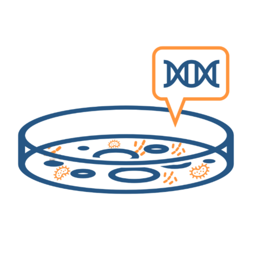 Mastering Mold Illness in Functional Practice - Functional Diagnostic ...