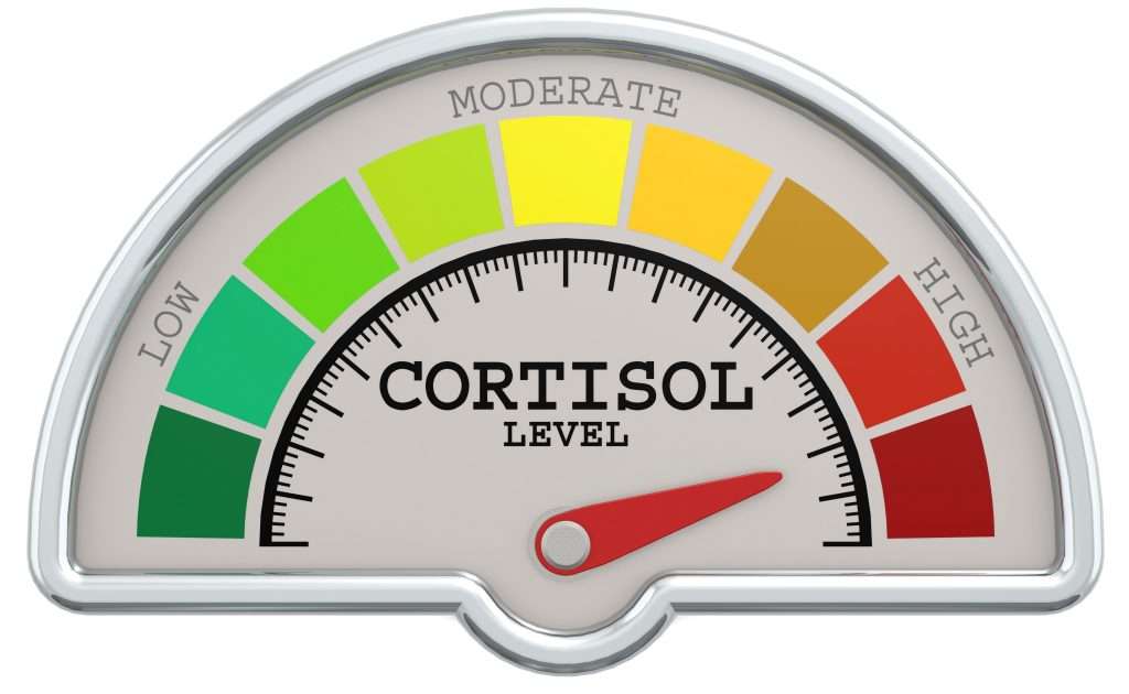 how to test cortisol levels naturally